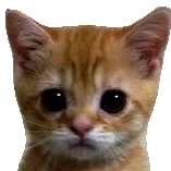 andrei