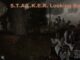 S.T.A.L.K.E.R. Looking Back